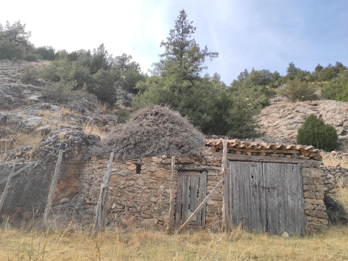 Casa Rural Sierra Del Solorio Iruecha Bagian luar foto